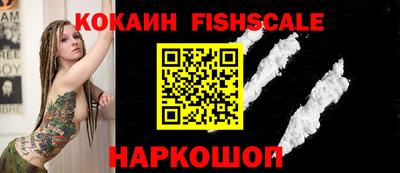 тгк Бийск