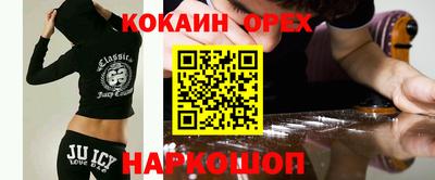 тгк Бийск