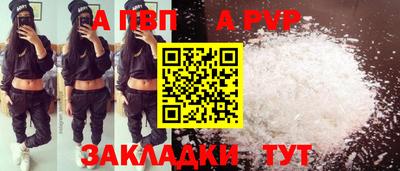 тгк Бийск