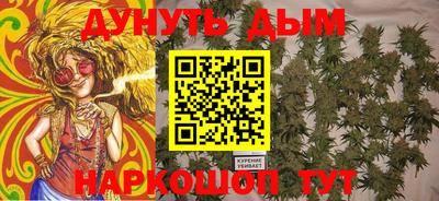 тгк Бийск