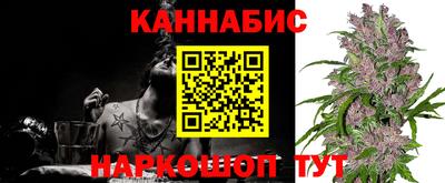 шишки Беслан