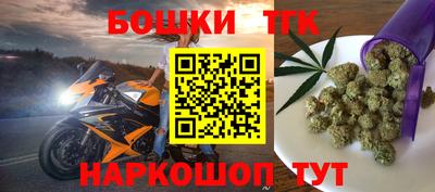 тгк Бийск